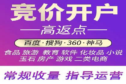 竞价广告的投放策略与效果评估——以一成功企业为例